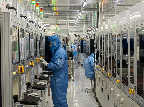 金融活水悉心澆灌，技術(shù)服務(wù)護航民營經(jīng)濟滿帆前行